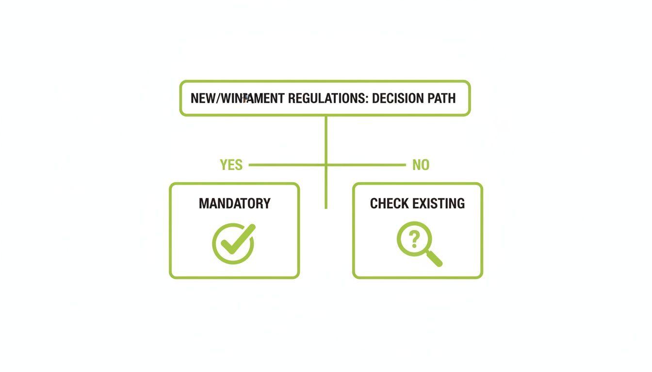 A flowchart outlines the decision path for new or amendment regulations, leading to mandatory or checking existing.